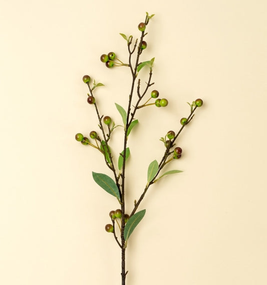 Hypericum Berry Spray