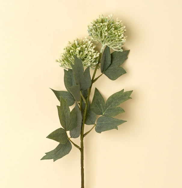 Sedum Spray |  Green