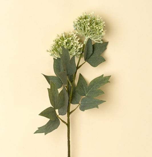 Sedum Spray |  Green