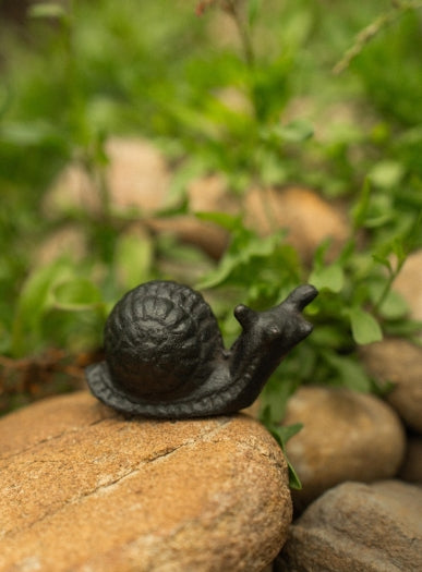 Cast Iron Snail