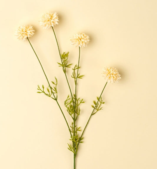 Mini Chrysanthemum | Cream