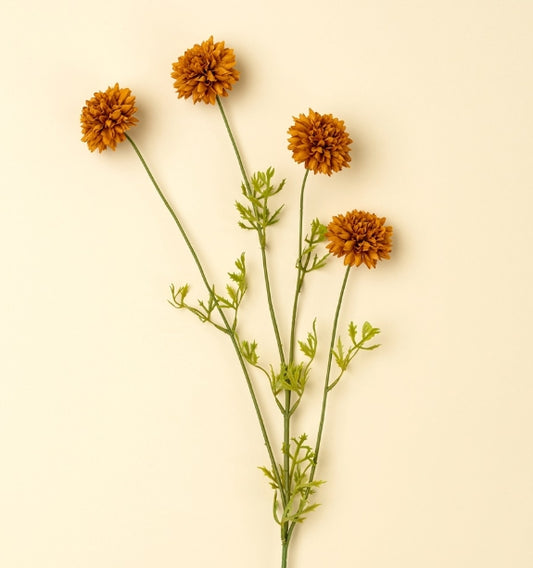 Mini Chrysanthemum |  Brown