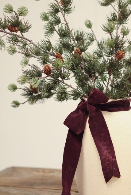Alpine Larch Sprig