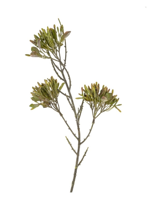 Wild Flower Spray | Green