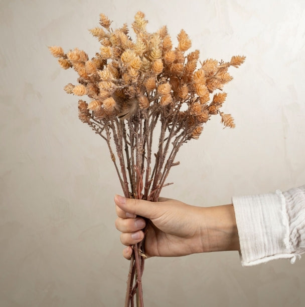 Wild Grass Bundle | Light Brown