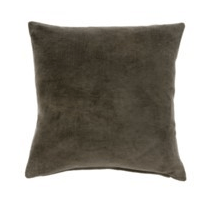 Vera Velvet Pillow | Juniper