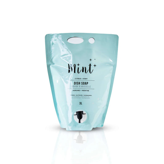Mint | Dish Soap | Party Pouch