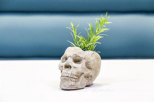 Skull Planter | Small