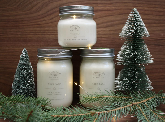 Homestead Candle Co 6oz | Tree Farm