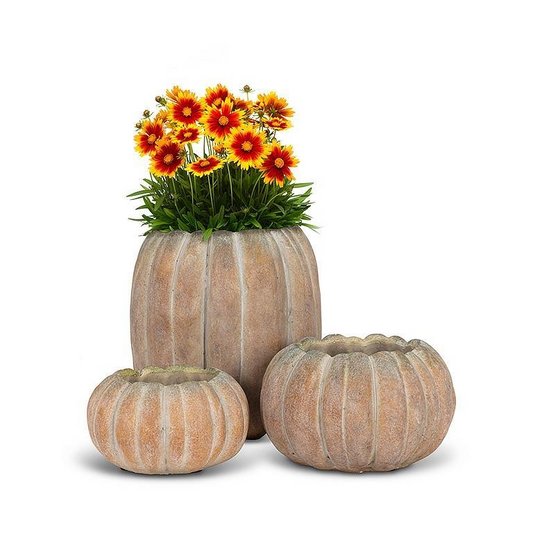 Pumpkin Planter | Low | Small